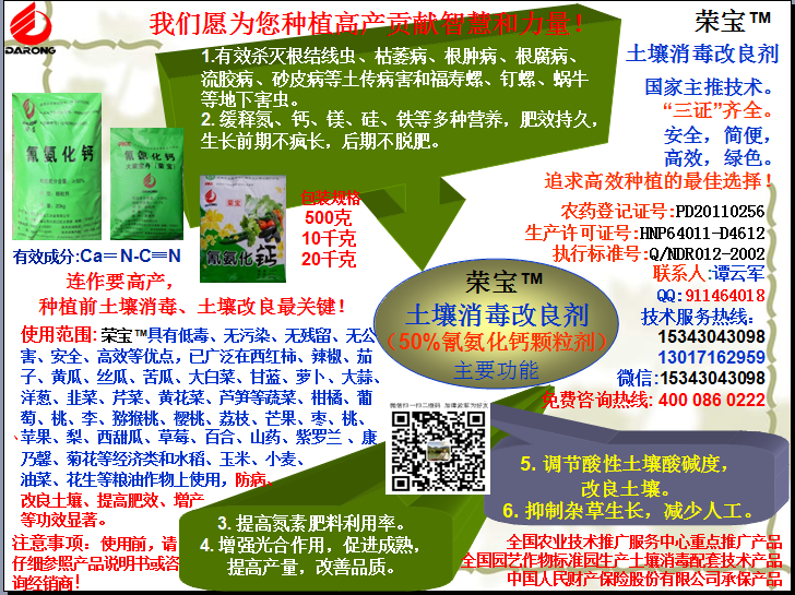 榮寶（氰氨化鈣）顆粒殺菌劑，土壤消毒、緩釋氮鈣營(yíng)養(yǎng)、肥料增效、土壤改良四效合一，殺滅根結(jié)線(xiàn)蟲(chóng)，防治根腫病、根腐病、枯萎病、流膠病、蓮藕腐敗病等土傳病害，殺滅福壽螺、釘螺等地下害蟲(chóng)，解決連作障礙